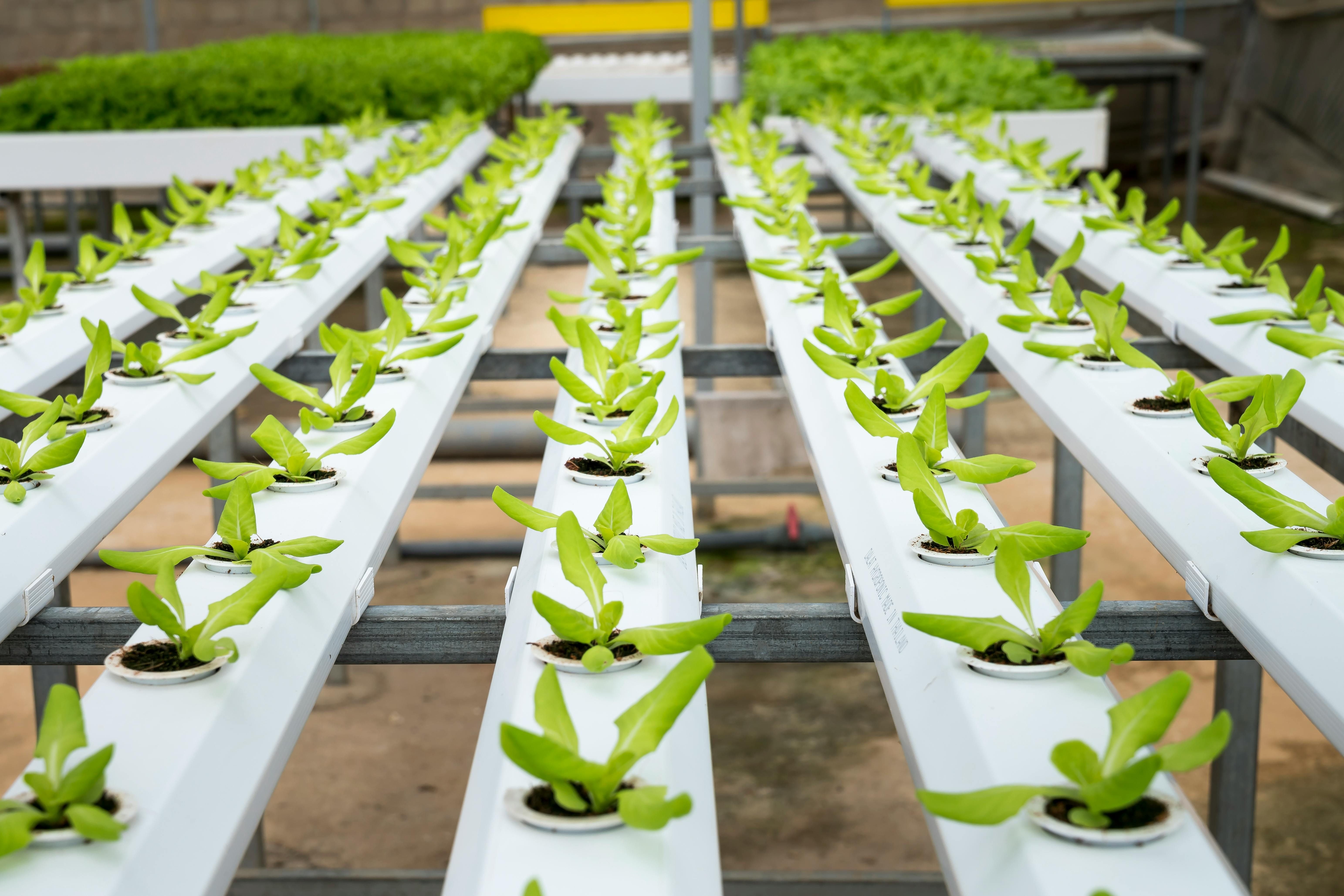 Automação de marketing no agro: como escalar sem perder personalização