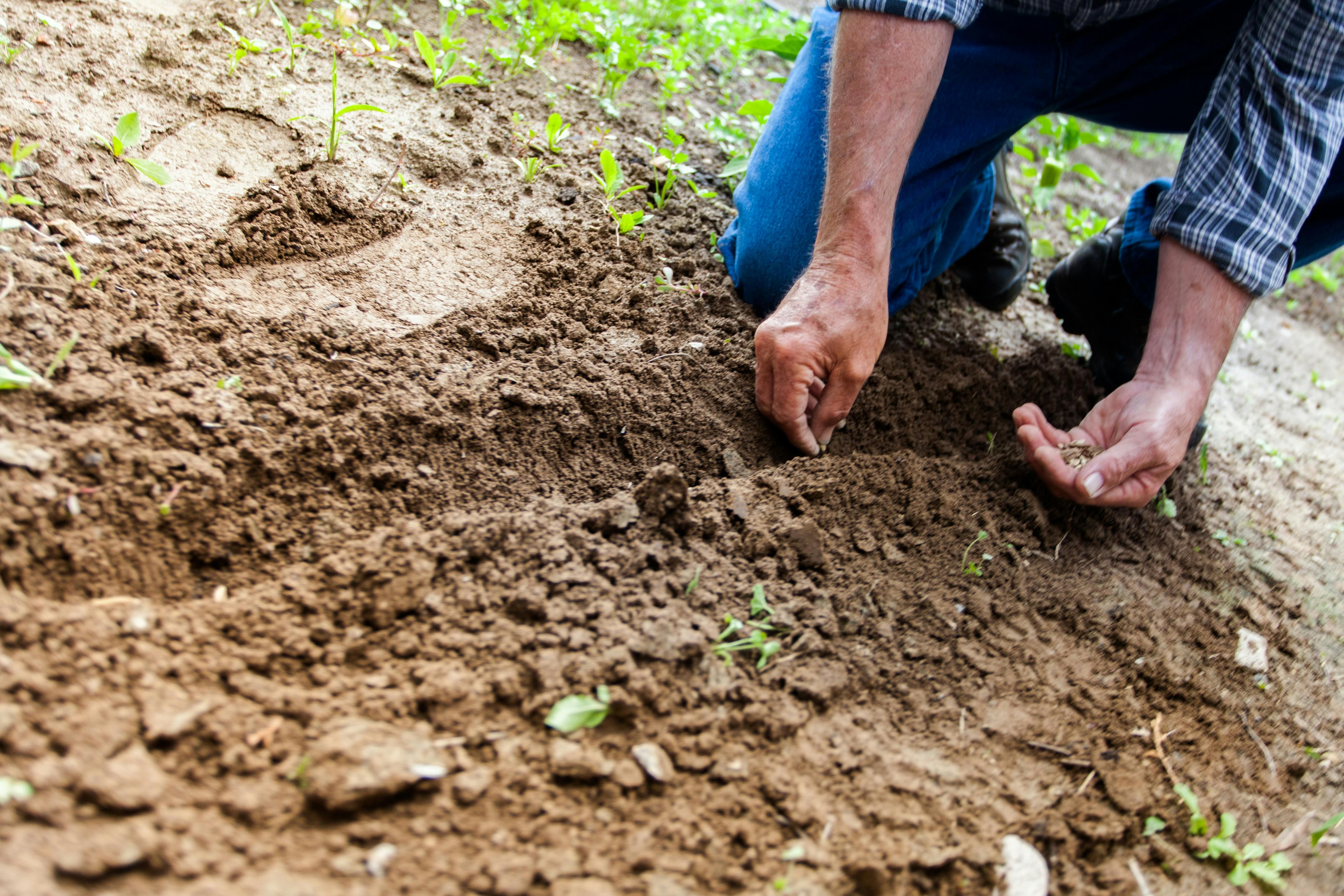 WhatsApp no agro: como usar o canal que o produtor acessa
